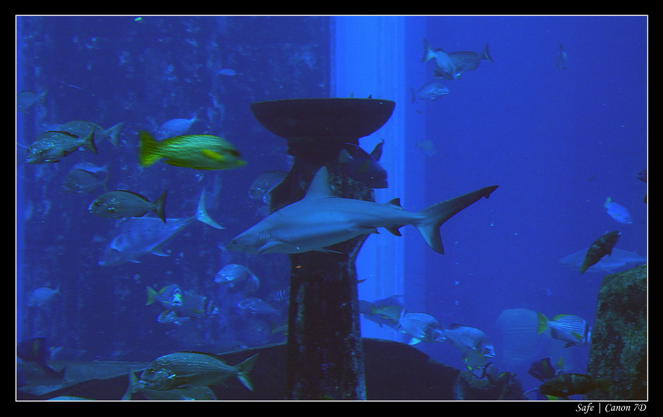 2012 - 06 - Dubai - 041